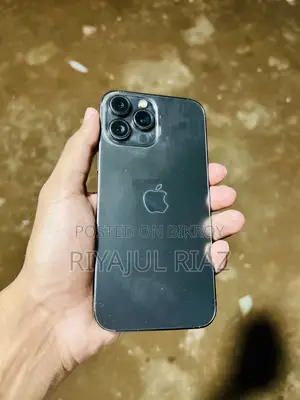 Apple iPhone 13 Pro Max 256 GB Gray