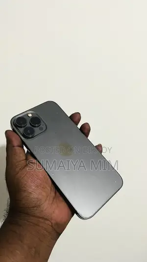 Apple iPhone 13 Pro Max 256 GB Graphite