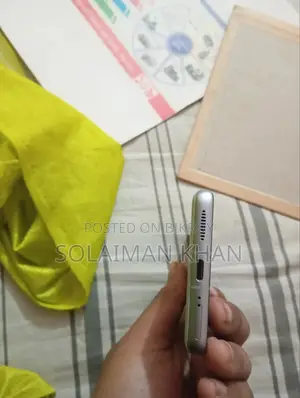 শাওমি ১২ ২৫৬ জিবি ব্রোঞ্জ