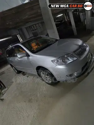 Toyota Corolla Fielder 2005 Silver