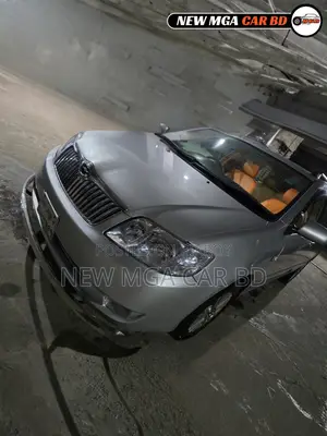 Toyota Corolla Fielder 2005 Silver
