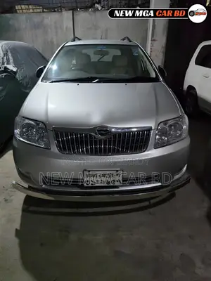 Toyota Corolla Fielder 2005 Silver