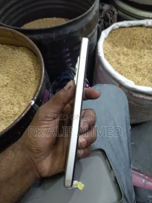 শাওমি ১৫ ২৫৬ জিবি গ্রে