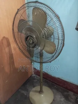 Pakistani Fan