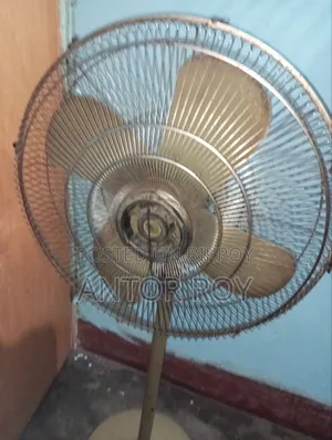 Pakistani Fan