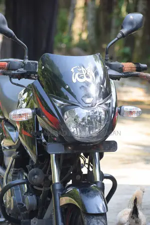 Bajaj Pulsar 150 2021 Black