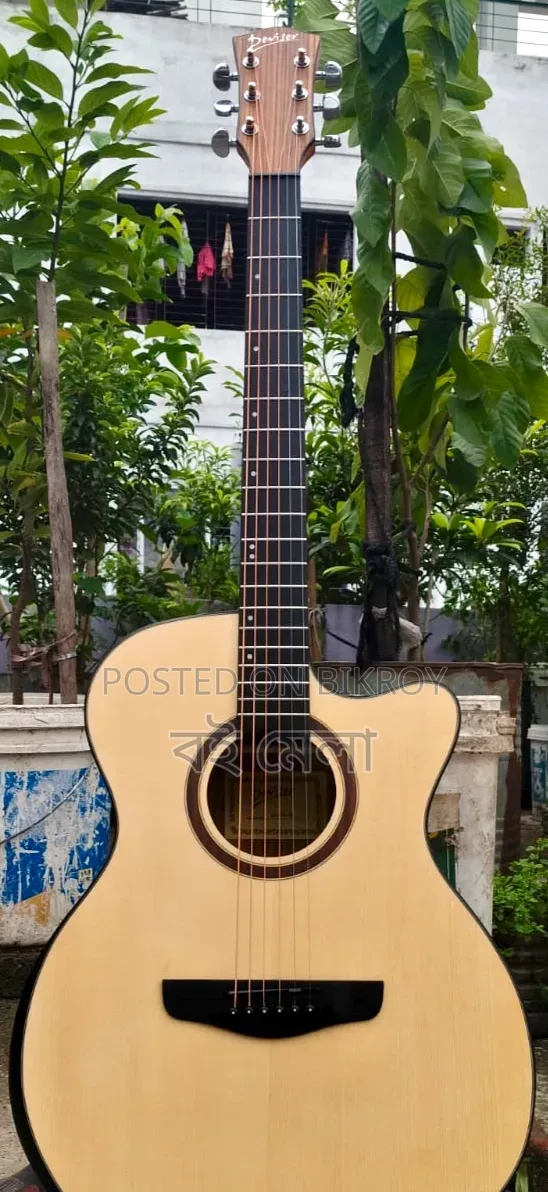 100% Brand New Guitar