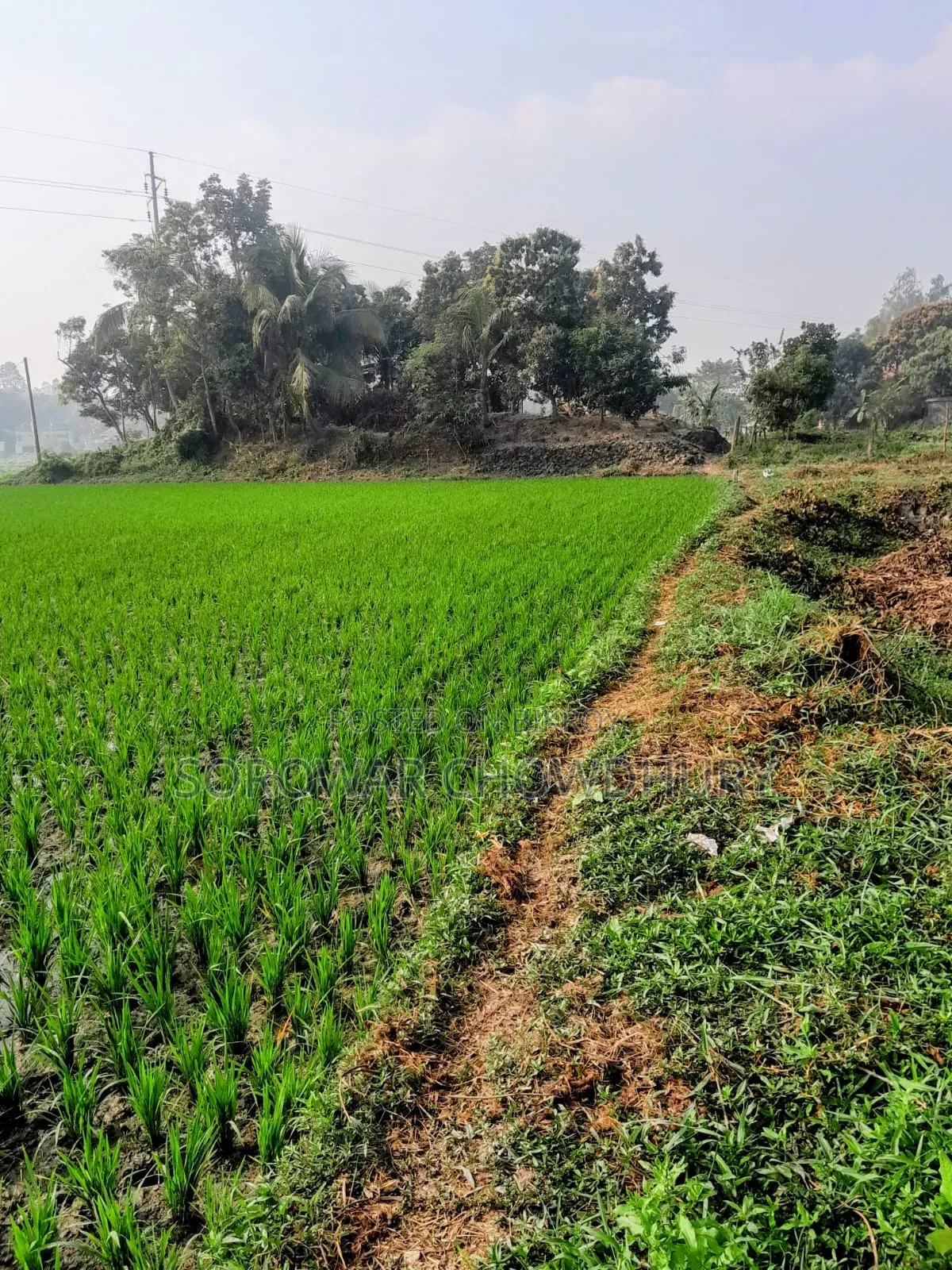 শ্রীনগরের কয়কীর্ত্তনে জমি বিক্রয় হবে