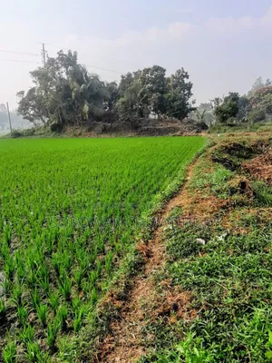 শ্রীনগরের কয়কীর্ত্তনে জমি বিক্রয় হবে