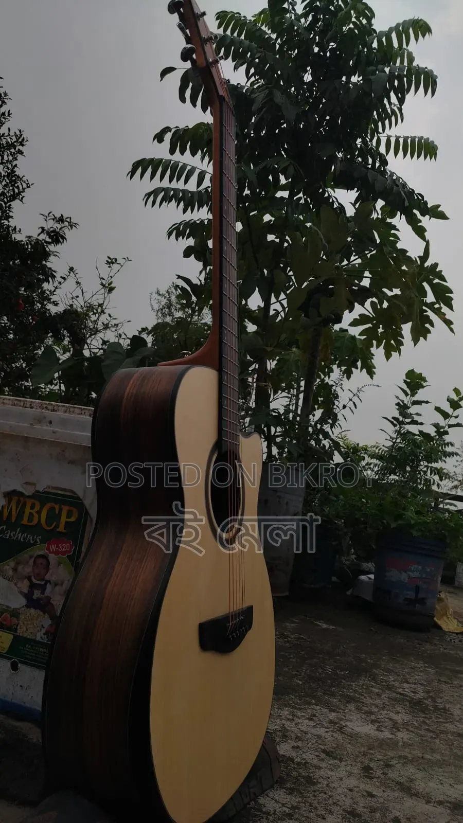 100% Brand New Guitar