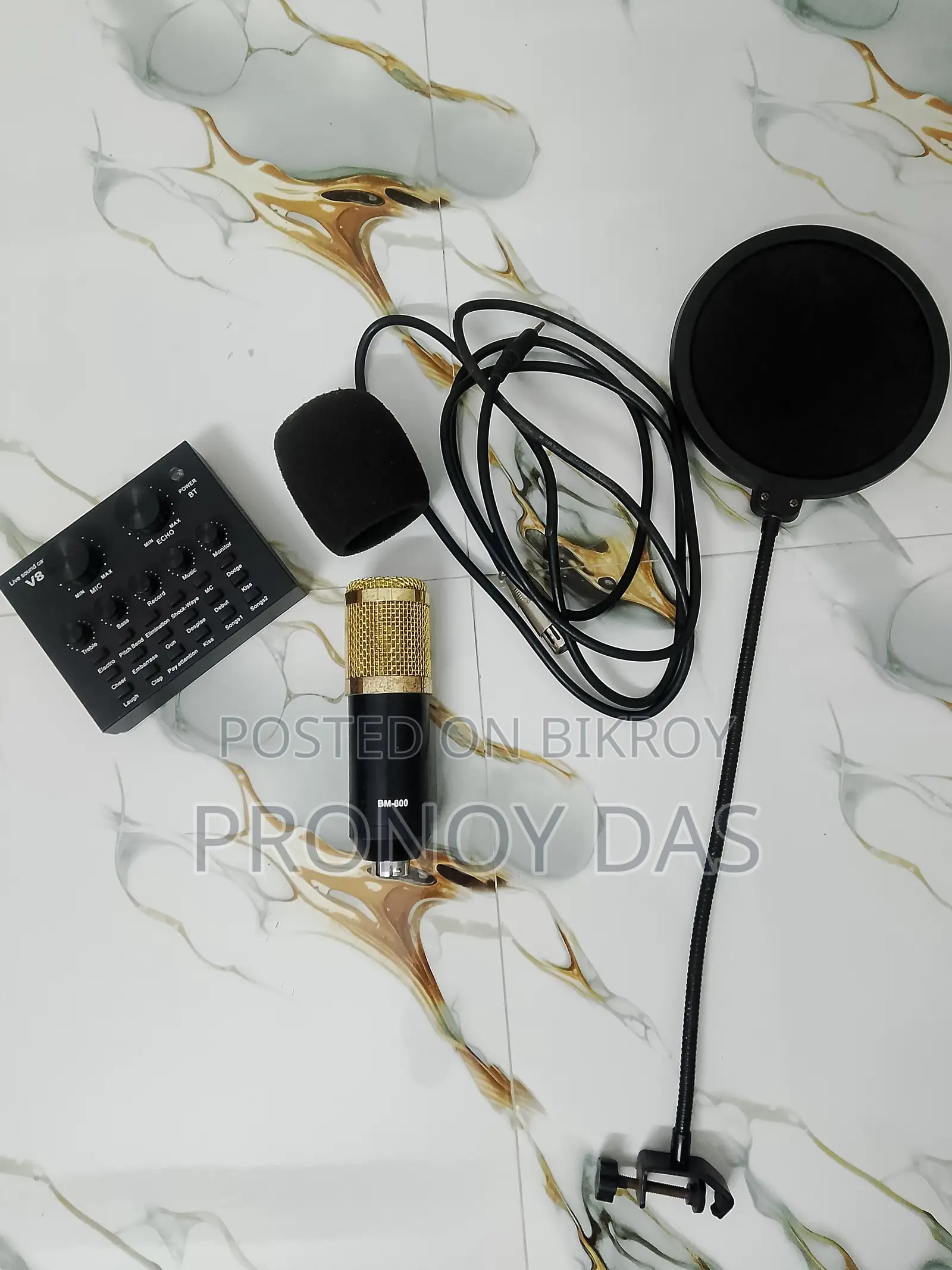 BM800 Professional Microphone