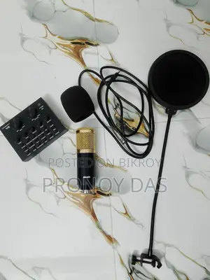 BM800 Professional Microphone