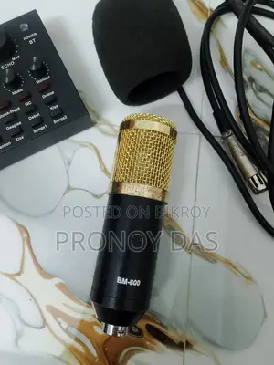 BM800 Professional Microphone