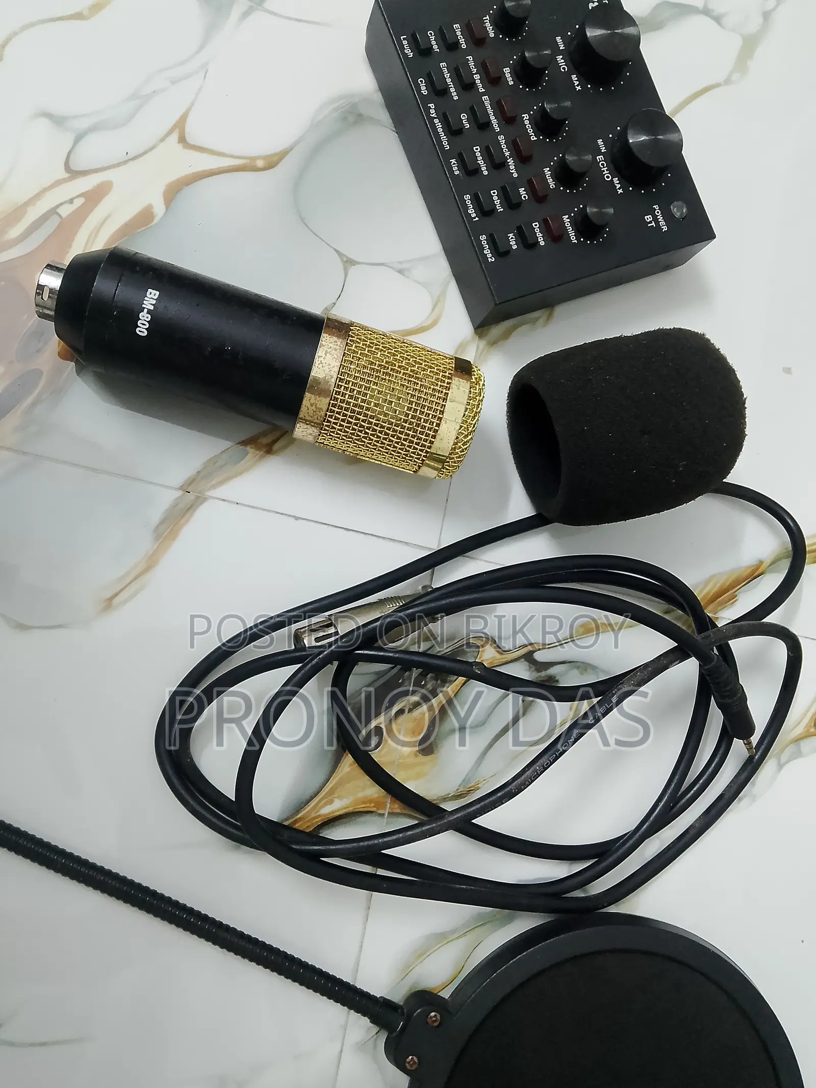 BM800 Professional Microphone
