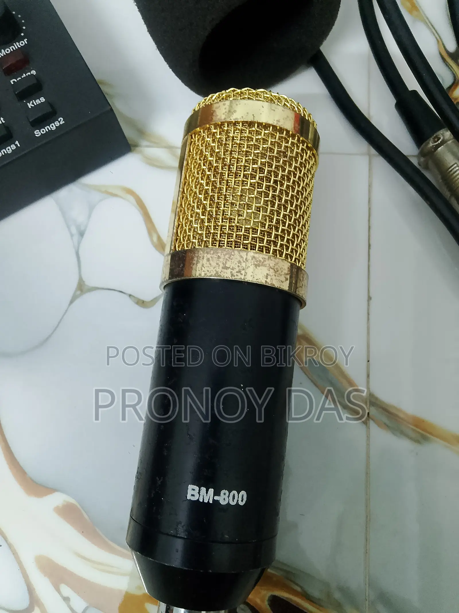 BM800 Professional Microphone