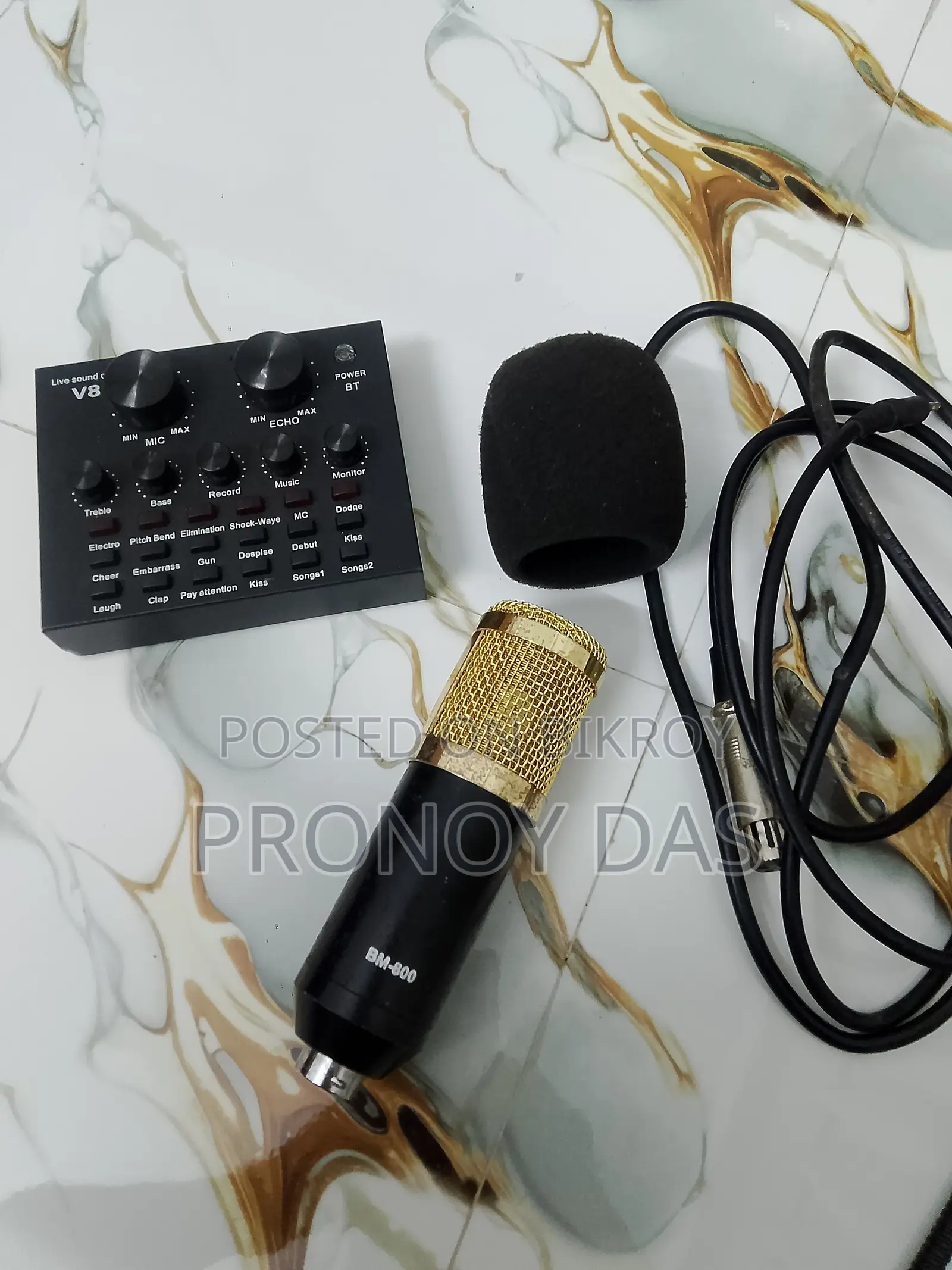 BM800 Professional Microphone