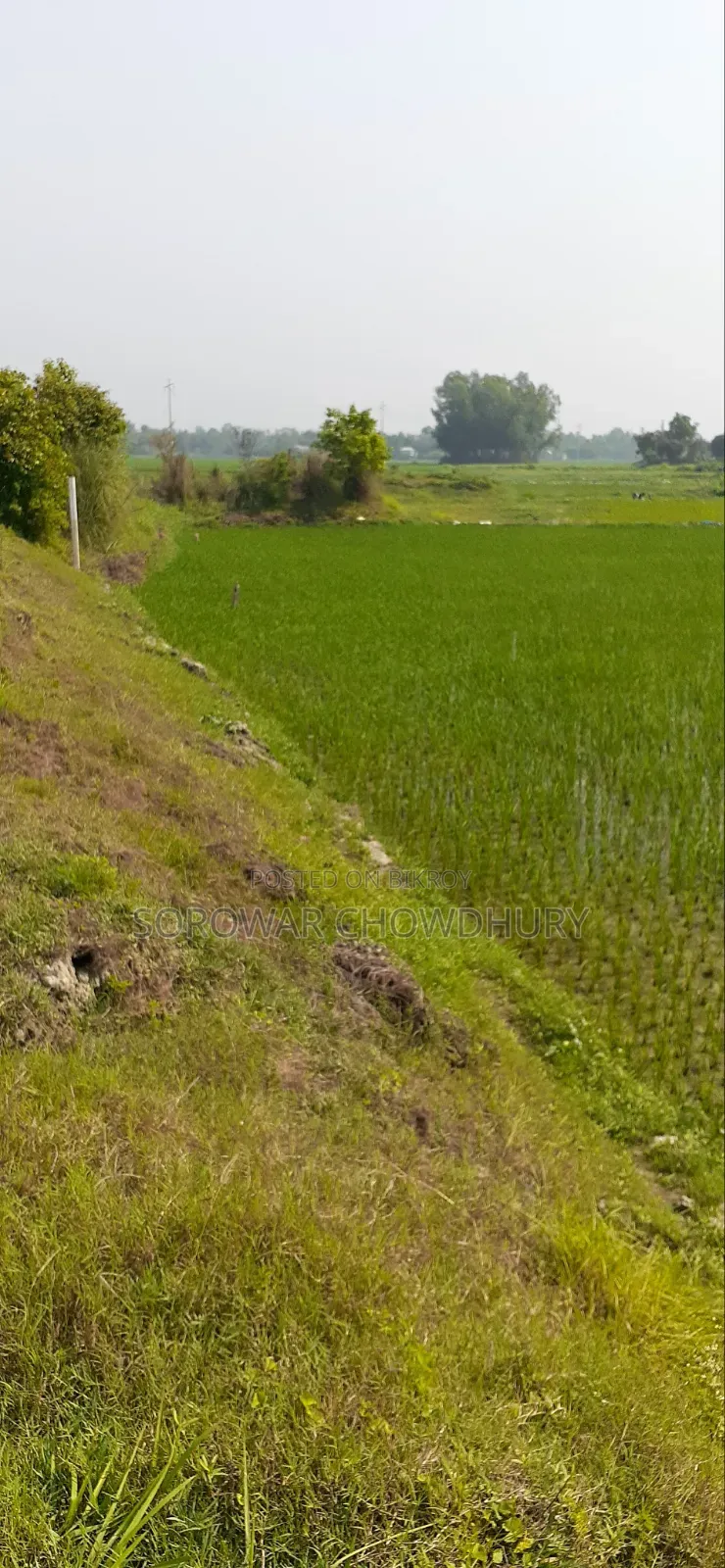 ৩০ কাঠা জমি শ্রীনগরে বিক্রি হবে