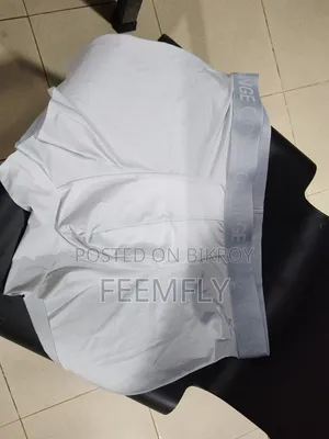 Ice Silk Underwear (Europe)