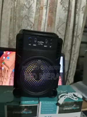 GREATNICE GTS-1360 Portable Wireless Speaker