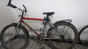 Ranger Max Cycle