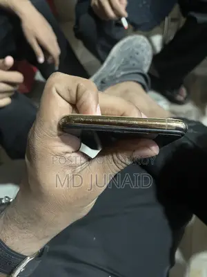 অ্যাপল আইফোন এক্সএস ম্যাক্স ২৫৬ জিবি রোজ গোল্ড