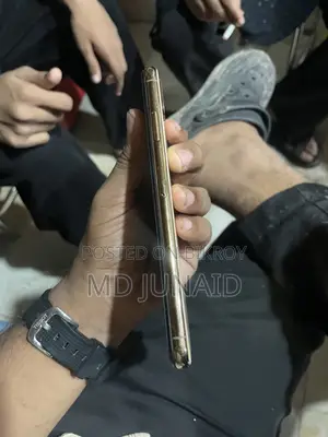 অ্যাপল আইফোন এক্সএস ম্যাক্স ২৫৬ জিবি রোজ গোল্ড