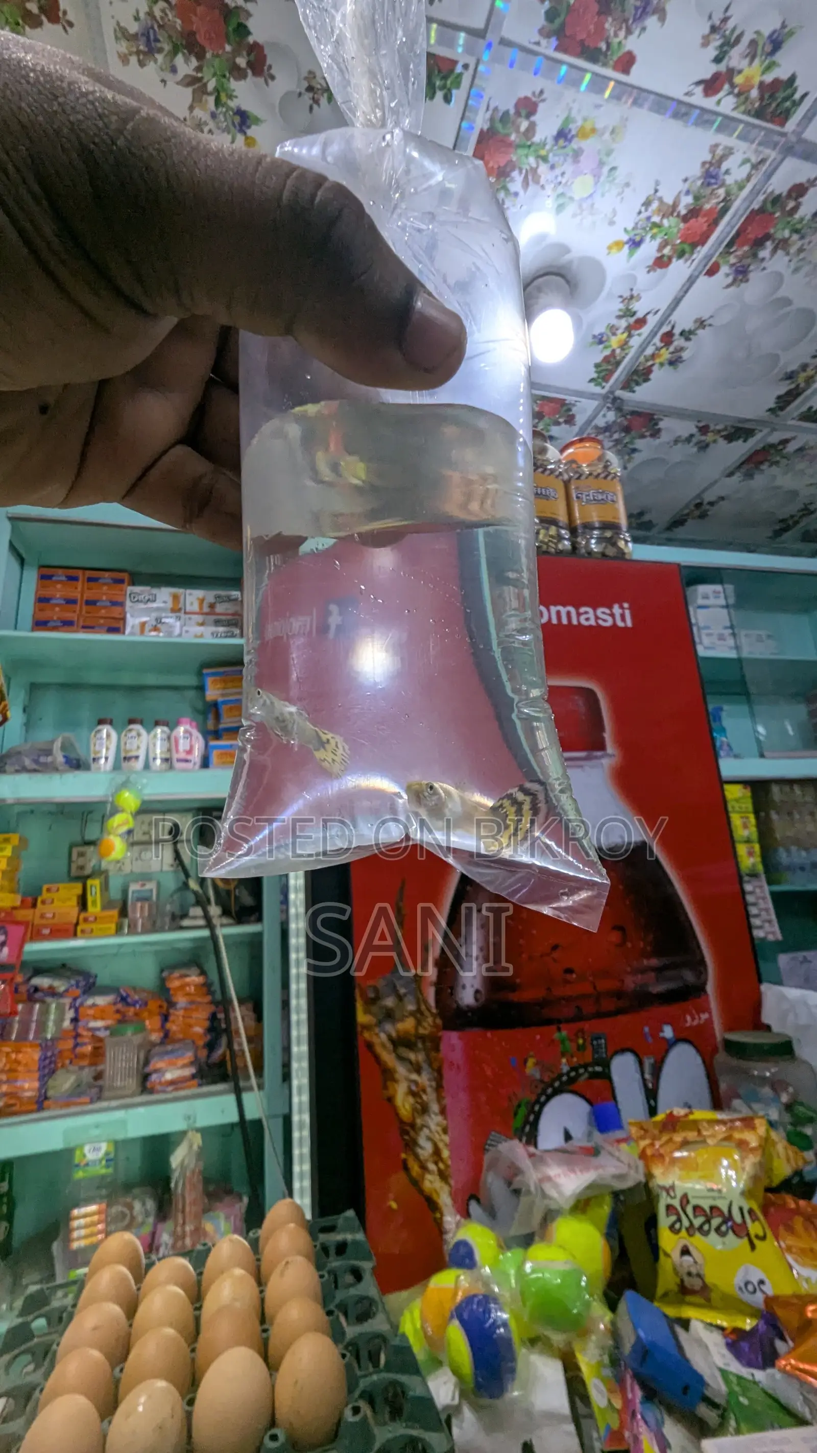 Cobra Guppy
