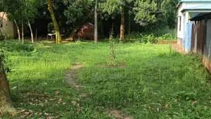 আড়াই কাঠা জমি এবং আড়াই কাটার ভিতর একটি বাড়ি বিক্রয় করা হবে