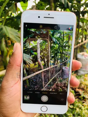 অ্যাপল আইফোন ৮ প্লাস ৬৪ জিবি গোল্ড