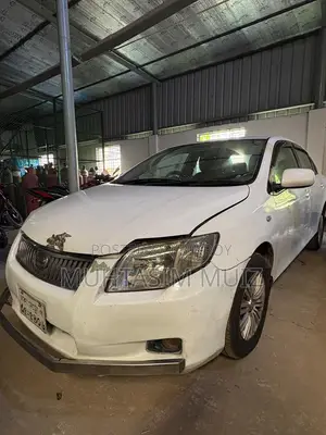 Toyota Axio 2008 White