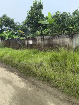 প্লেগ্রাউন্ড, সাউথইস্ট কর্নার ৭৫ ফিট রোড ৩ কাঠা প্লট সেক্টর: ১৫, পূর্বাচল