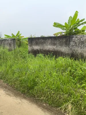 প্লেগ্রাউন্ড, সাউথইস্ট কর্নার ৭৫ ফিট রোড ৩ কাঠা প্লট সেক্টর: ১৫, পূর্বাচল