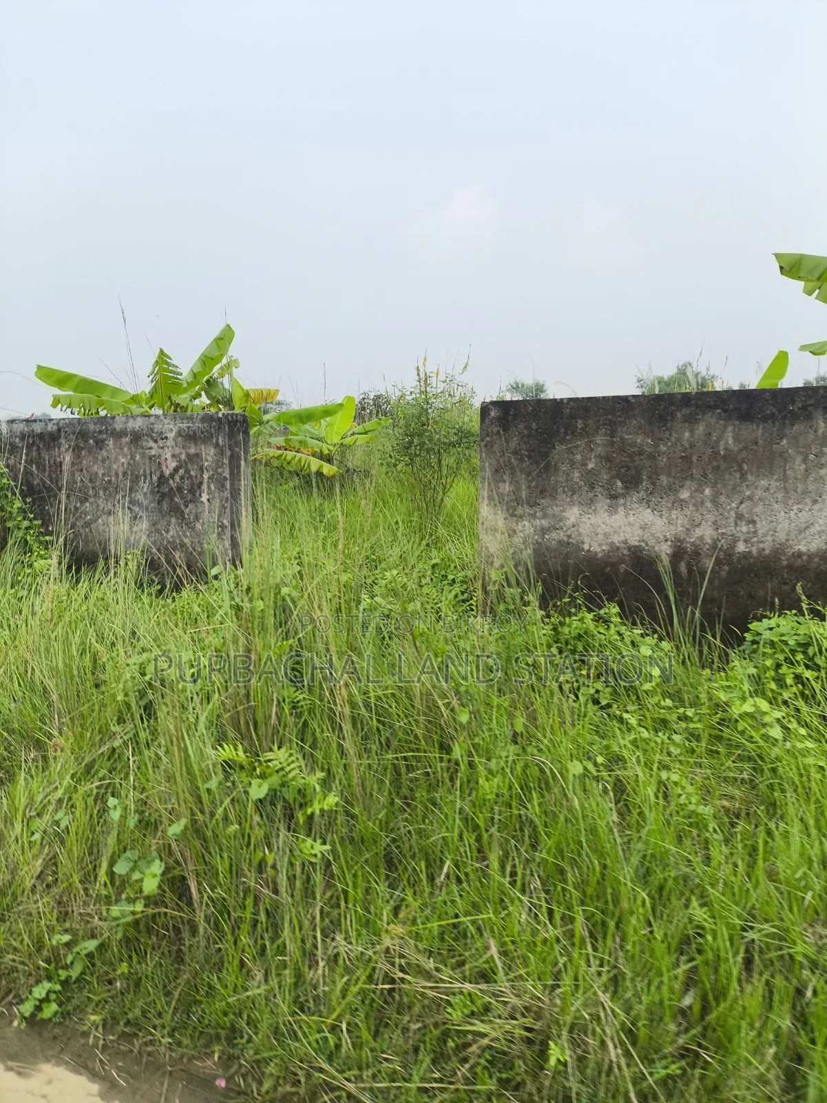 প্লেগ্রাউন্ড, সাউথইস্ট কর্নার ৭৫ ফিট রোড ৩ কাঠা প্লট সেক্টর: ১৫, পূর্বাচল