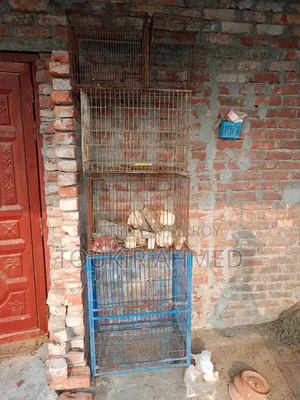 খাচা এবং খাবারের পট বিক্রয় করা হবে