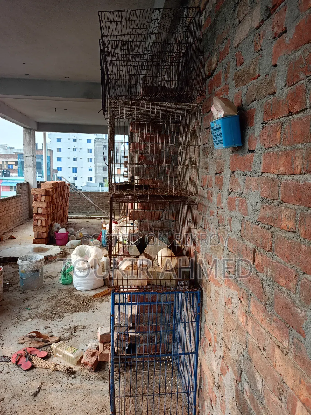 খাচা এবং খাবারের পট বিক্রয় করা হবে