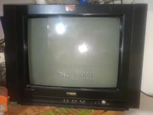 21 Inch Color Television