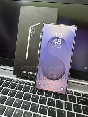 Samsung Galaxy S25 Ultra 256 GB Silver