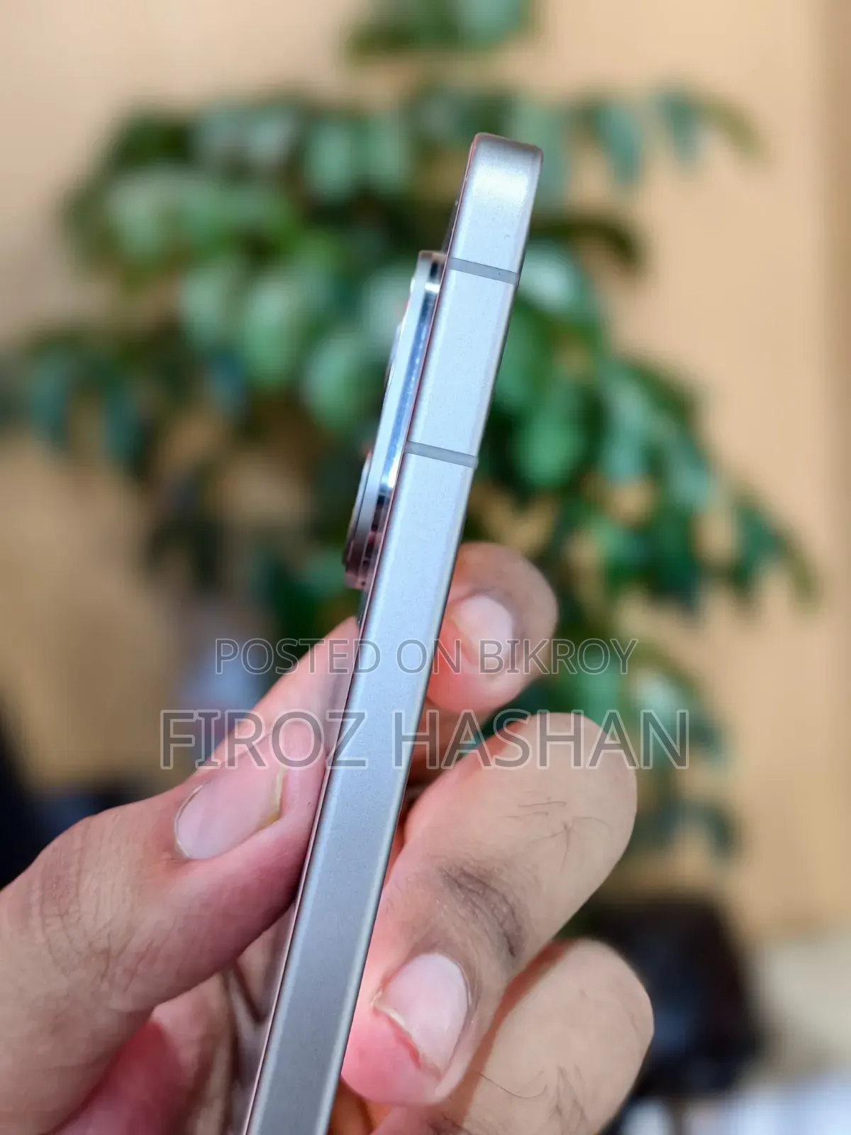 Vivo V70 256 GB Yellow