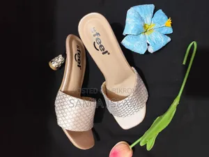 Used Heel Ladies Shoes