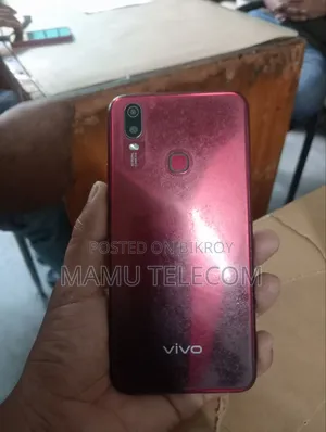 ভিভো ওয়াই১১ ৩২ জিবি ব্রোঞ্জ