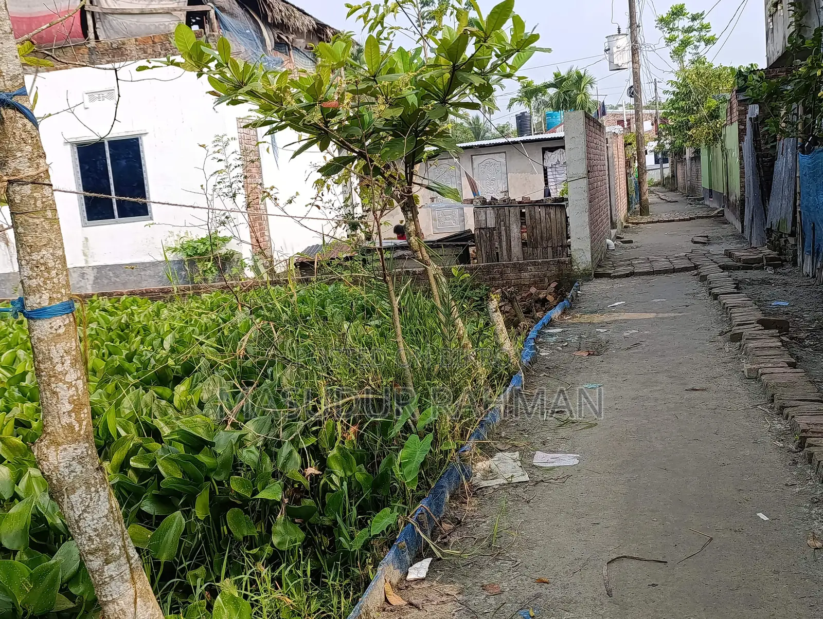 3.75 katha residential land for sale near Krishnanagar Bazar, Lobonchora Thana, Khulna