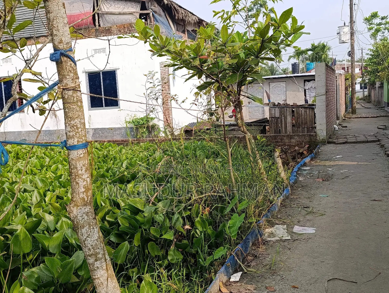 3.75 katha residential land for sale near Krishnanagar Bazar, Lobonchora Thana, Khulna