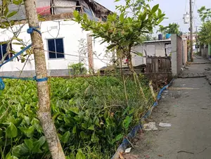 3.75 katha residential land for sale near Krishnanagar Bazar, Lobonchora Thana, Khulna