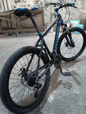 Anaconda ২৪ ইঞ্চি বাইসাইকেল