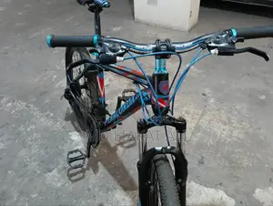 Anaconda ২৪ ইঞ্চি বাইসাইকেল
