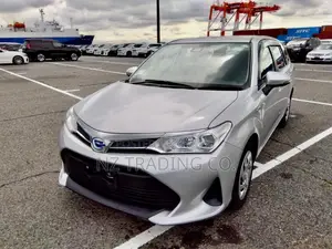 Toyota Axio 2020 Silver