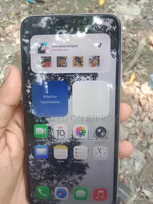 অ্যাপল আইফোন ১১ প্রো ম্যাক্স ২৫৬ জিবি সিলভার