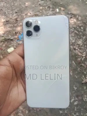 অ্যাপল আইফোন ১১ প্রো ম্যাক্স ২৫৬ জিবি সিলভার