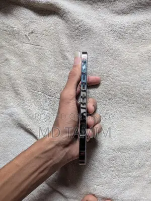 অ্যাপল আইফোন ১৩ প্রো ম্যাক্স ২৫৬ জিবি ব্ল্যাক