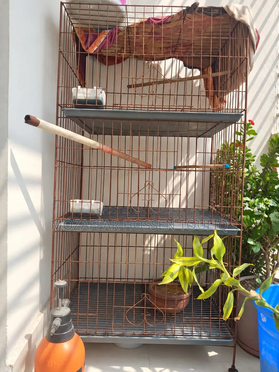 লোহার তৈরী ৩ তাকের ট্রে সহ খাচা বিক্রি হবে